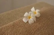 Massage/Spa