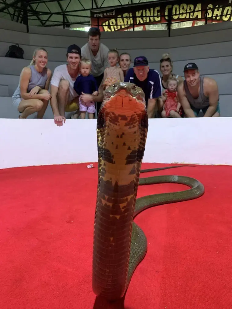 snak3