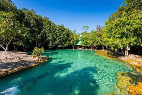 Emerald Pool Rainforest Walk