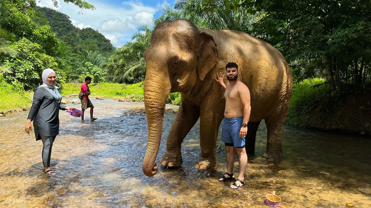 Elephant Trekking